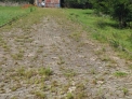Chácara  3,1 hectares frente para asfalto