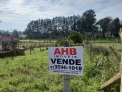 Terreno 10 x 30 metros frente para o Asfalto.