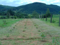 Chácara 2,2 hectares com galpão